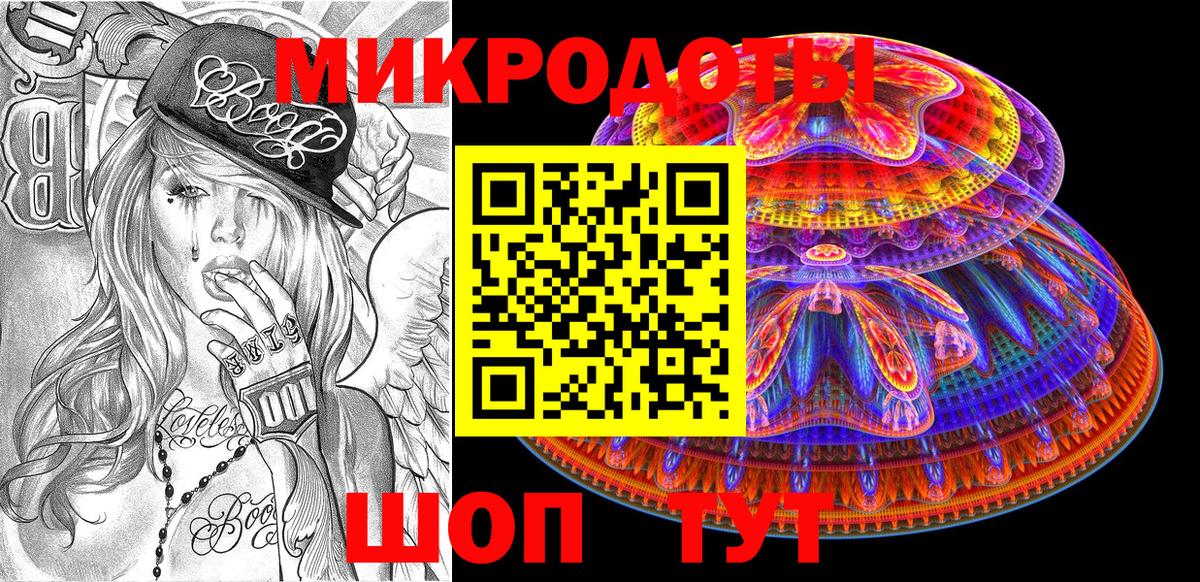 Псилоцибиновые грибы Psilocybe Краснокаменск